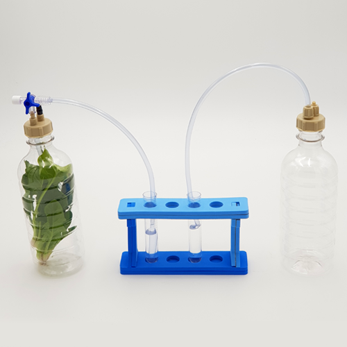 [미래네61] 식물의호흡실험세트(광합성)